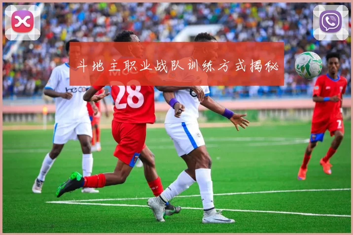 斗地主职业战队训练方式揭秘