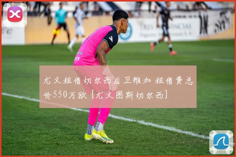 尤文租借切尔西后卫维加 租借费总价550万欧 [尤文图斯切尔西]