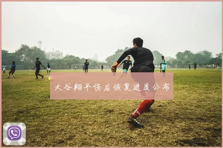 大谷翔平伤后恢复进度公布