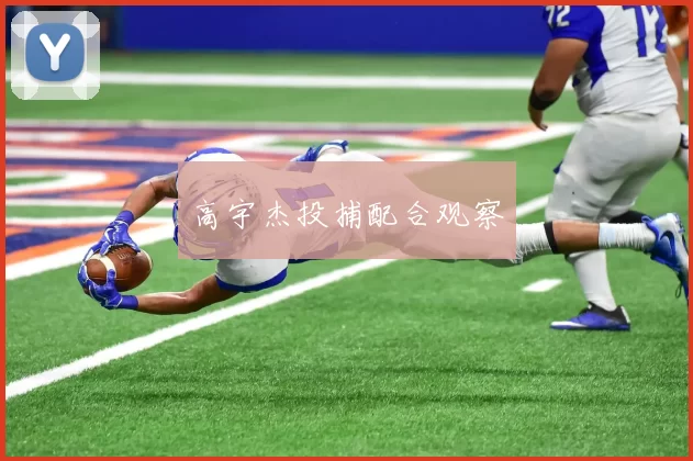 高宇杰投捕配合观察