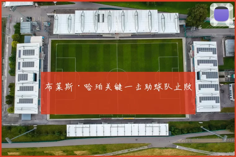 布莱斯·哈珀关键一击助球队止败